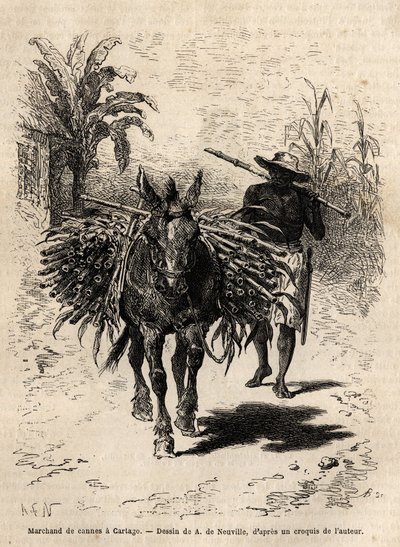 En käpphandlare och hans mula i Cartago (Costa Rica), den enda köpmannen som livar upp stadens tomma gator. Gravyr för att illustrera resan till New Granada, av Dr. Saffray, 1869, publicerad i "" Le tour du monde""" 1873, redigerad av Edouard Char av Unknown artist