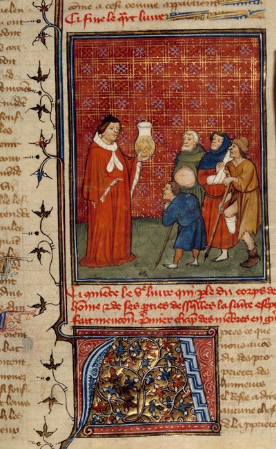 En läkare undersöker en burk med urin framför patienter. Miniatyr hämtad från den engelska Barthelemy av Unknown artist