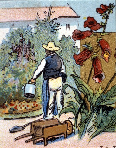 En trädgårdsmästare, kromolitografi av Unknown artist