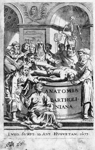 En lecon of anatomy Frontispice hämtar från "Anatomia Reformata"" av Thomas Bartholin (1616-80) (Bartholinus) 1677 av Unknown artist