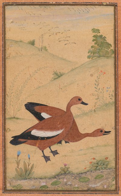 Ett par brahminankor av Unknown artist