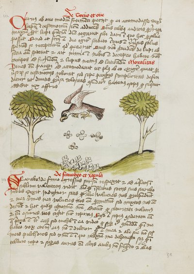 En örn som flyger över en svärm av insekter av Unknown artist