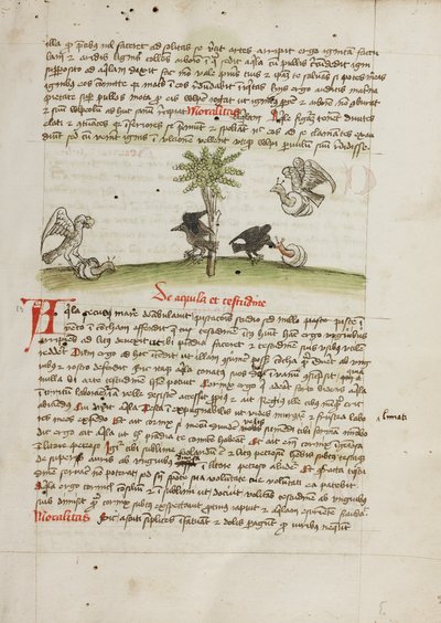 En örn som griper en snigel; en kråka som hackar på en snigel av Unknown artist