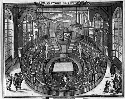 Anatomisk teater vid universitetet i Leiden, slutet av 1600-talet. av Unknown artist