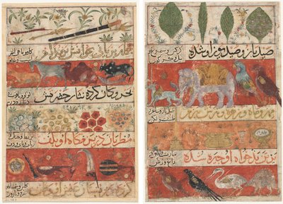 Djur, ädelstenar, mynt och musikinstrument (recto); Djur, fåglar och växter (verso) från en Mu