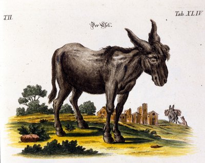 Ankey. 1700-talsrepresentation. av Unknown artist