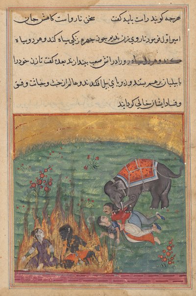 Som straff kastas gycklarens fru och Zangi i eld och emirens fru och mahouten trampas av en elefant, från en Tuti-nama (Tales of a Papegoja), Twenty-andra natten av Unknown artist