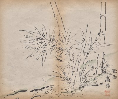 Bambu av Unknown artist