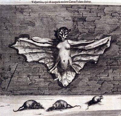 Fladdermöss och råttor. "De China Monumenta" av Athanasius Kircher av Unknown artist