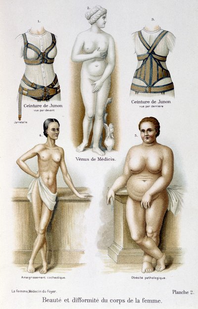Skönhet och deformitet av kvinnans kropp (mager och fetma); Junos bälten - i "The woman, home doctor"" av Unknown artist