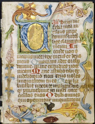 Bifolio från a Book of Hours: Initial V med blomkant av Unknown artist
