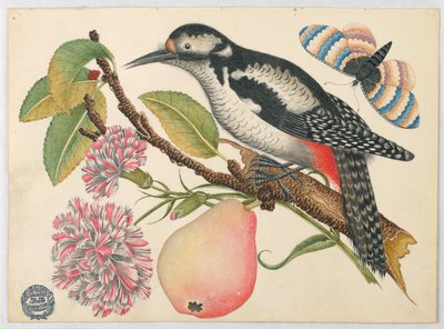Fågel, fjäril och päron av Unknown artist