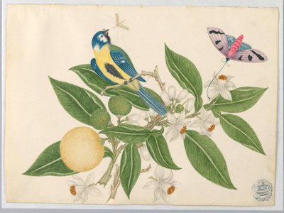 Fågel på en orange gren, med fjäril av Unknown artist