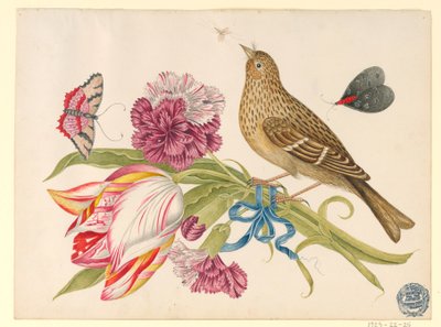 Fågel med tulpan, nejlika, fjärilar och insekter av Unknown artist
