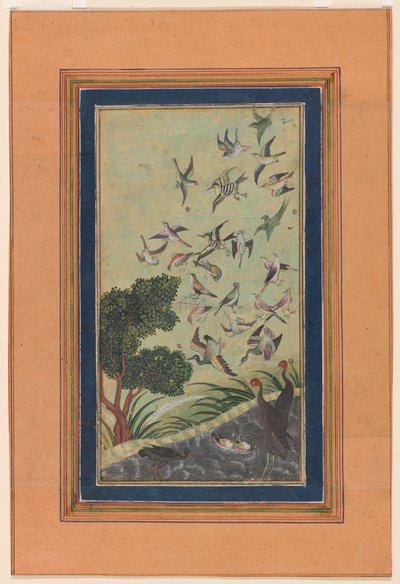 Fåglar vid Baran, möjligen från Babur-nama av Unknown artist