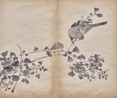 Blommar av Unknown artist