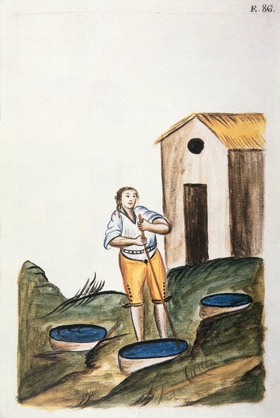 Blå färgbricka som används för att färga ull, från boken "Trujillo of Peru" eller "Codex Martinez Companion", av Baltazar Martinez Companion och Bujanda, biskop av Trujillo (1782-1785) av Unknown artist
