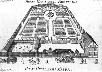 Botaniska trädgården - HORTI UPSALIENSIS prospektiv och plan. av Unknown artist
