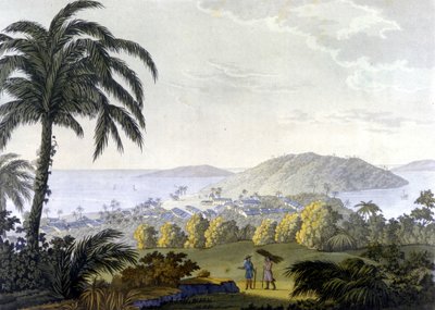 Brasilien, utsikt över staden Ilheus i delstaten Bahia av Unknown artist