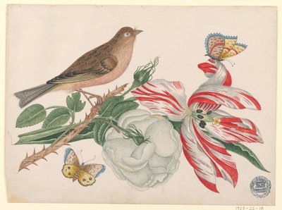 Brun fågel på gren med ros, tulpan och insekter av Unknown artist