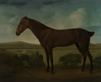 Brun häst i ett kuperat landskap av Unknown artist