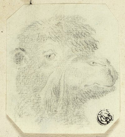 Kamelhuvud vänd åt höger av Unknown artist