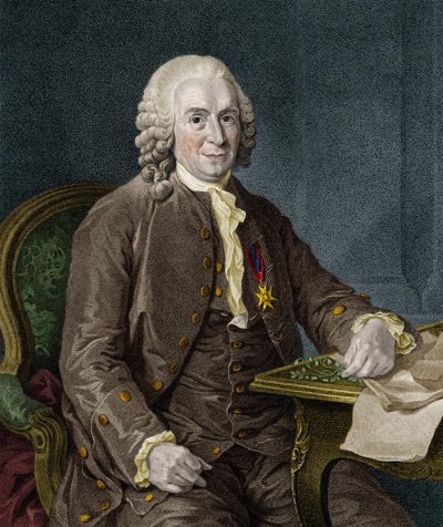 Carl Von Linné svensk naturforskare och författare (1707 - 1778). av Unknown artist