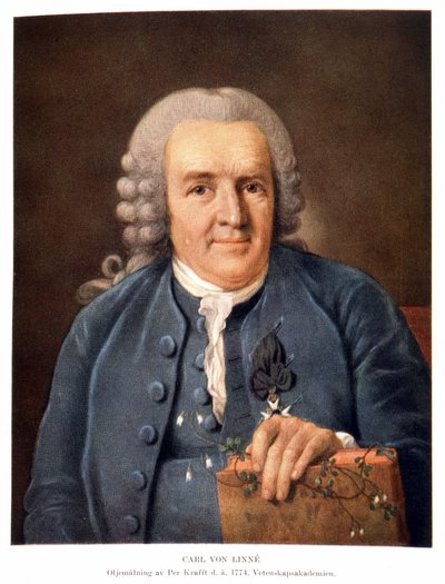Carl Von Linné svensk naturforskare och författare av Unknown artist