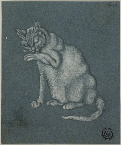 Katt som slickar tass av Unknown artist