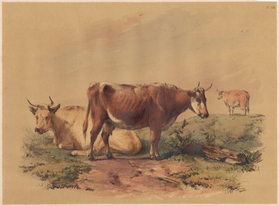 Nötkreatur av Unknown artist