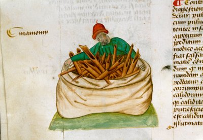 Kanel Säljare Beskrivning av medicinalväxter och hur man förbereder dem. Manuskriptsida “” Treats on herbs”” (Tractatus de herbis) av Pedanius Dioscorides (Dioscorides) (40-90 AD) Lat.1152 av Unknown artist