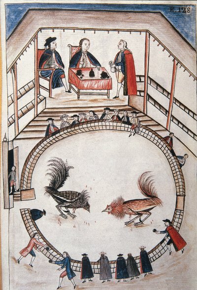 Tuppkamp, ​​en adelsman deltar i duellen, från boken "Trujillo del Peru" eller "Códice Martínez Compañón", av Baltazar Martinez Compañón y Bujanda, biskop av Trujillo (1782-1785) av Unknown artist