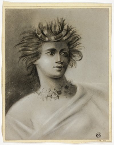 Cooks resor till Polynesien av Unknown artist
