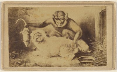 [Kopia av en målning som föreställer en apa som håller en råtta i svansen framför en liten vit hund] av Unknown artist