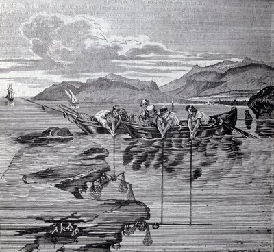 Korallfiske med hjälp av salaber och redskap. av Unknown artist
