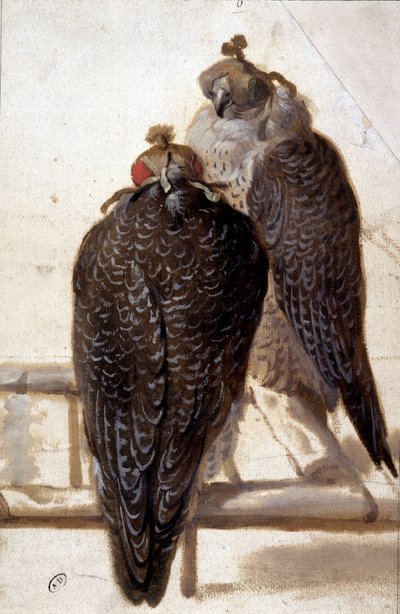 Ett par hökar. 1700-talsteckning. av Unknown artist