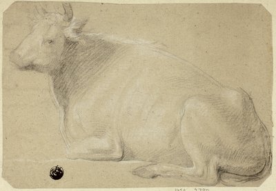 Ko liggande på bakdelen av Unknown artist