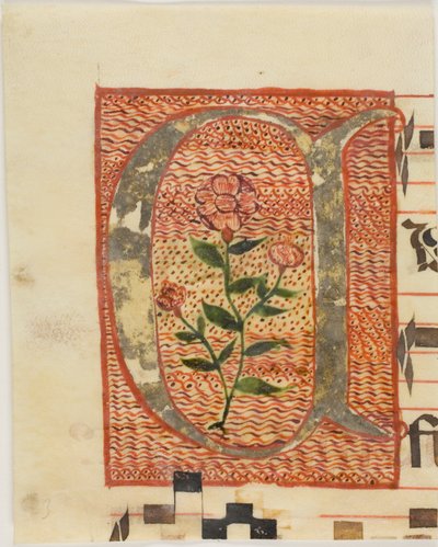 Dekorerad initial "A" med blomma från ett manuskript av Unknown artist