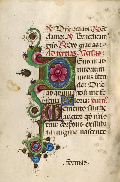 Dekorerad initial D; Dekorerad initial M av Unknown artist