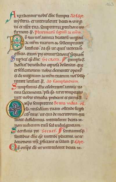 Dekorerad initial D; Dekorerad initial O av Unknown artist