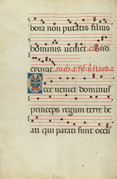 Dekorerad initial E av Unknown artist