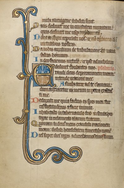 Dekorerad initial E av Unknown artist