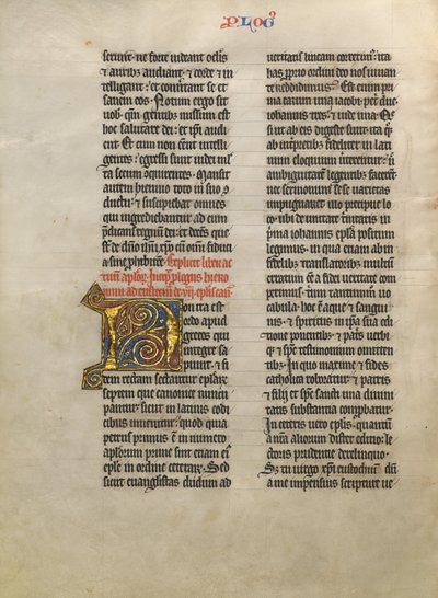 Dekorerad initial N av Unknown artist