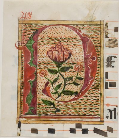 Dekorerad initial "P" med blommor från ett manuskript av Unknown artist