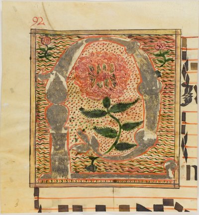Dekorerad initial "P" med rosor från ett manuskript av Unknown artist