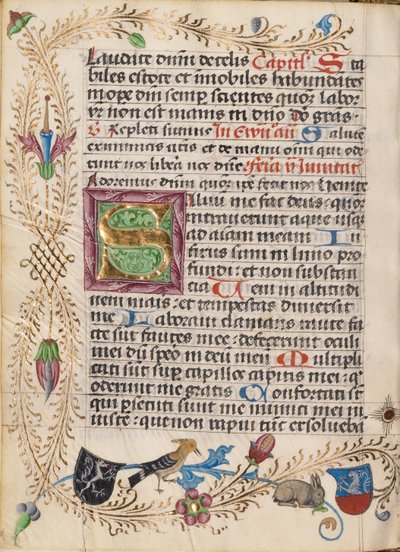 Dekorerat Initial S av Unknown artist