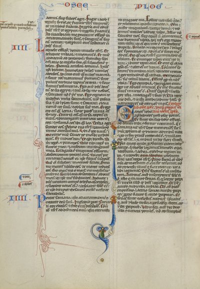 Dekorerat Initial S av Unknown artist