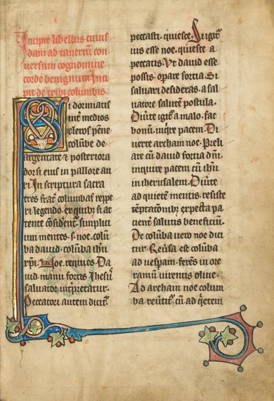 Dekorerat Initial S av Unknown artist