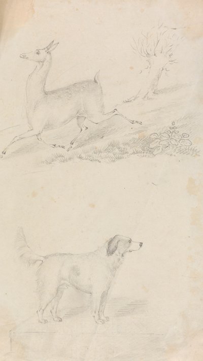 Rådjur och hund av Unknown artist
