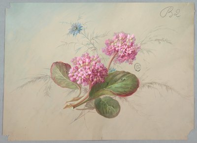 Design för tapeter och textil: Blommor av Unknown artist
